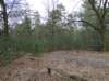 NWK 2012 041_small.jpg